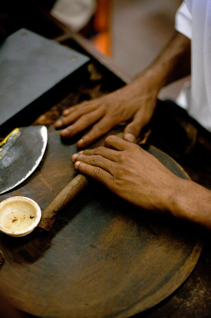 Leon Jimenes rollt Tabak, Zigarren in Zigarrenfabrik in Santiago de los Caballeros, Dominican Republic, Karibik