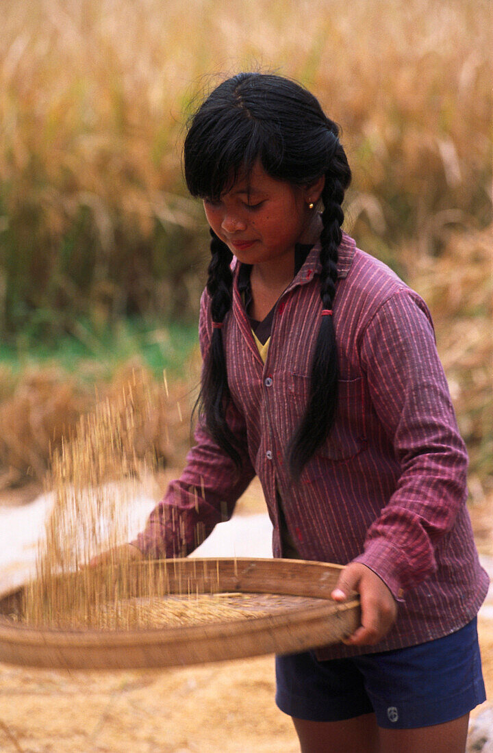 Girl cleans rice, Bali Indonesia