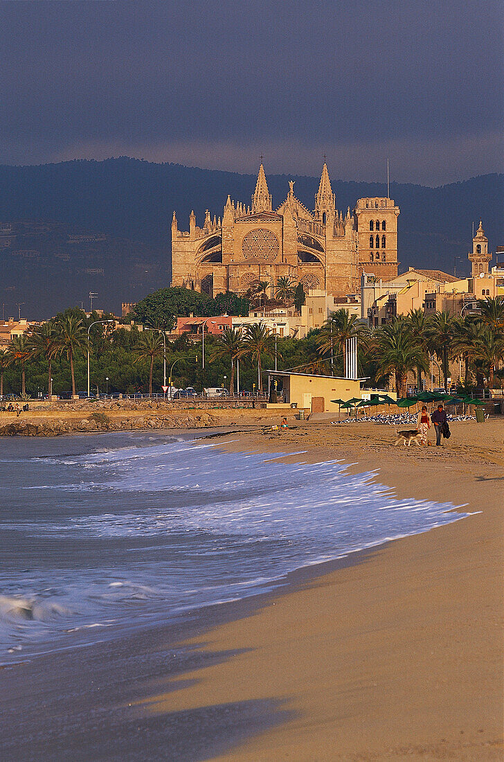 Strand, Playa de Mallorca mit Kathedrale La Seu im Hintergrund, Palma de Mallorca, Mallorca, Spanien