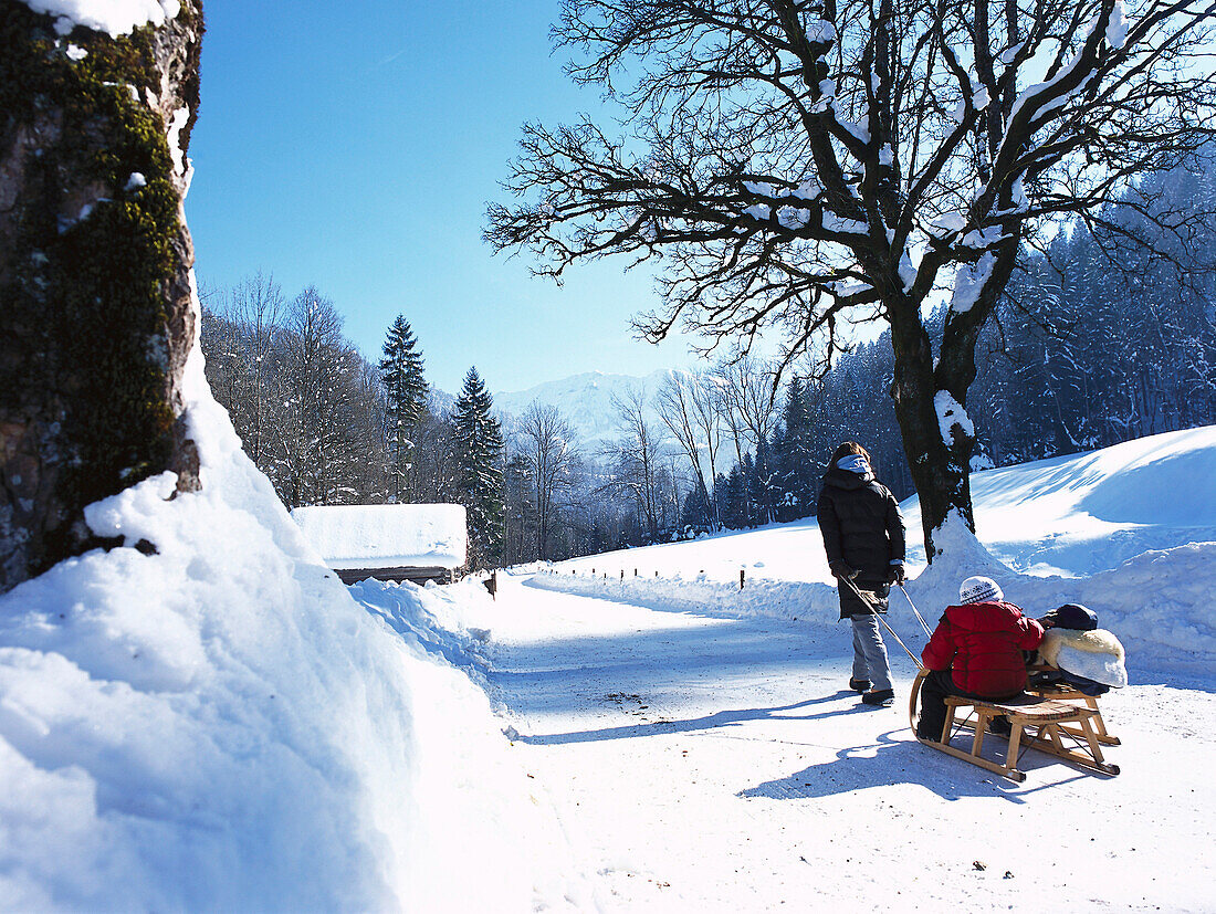 Winter Spaziergang, Frau zieht Schlitten mit Kinder, in der Nähe von Garmisch-Partenkirchen, Oberbayern, Bayern, Deutschland