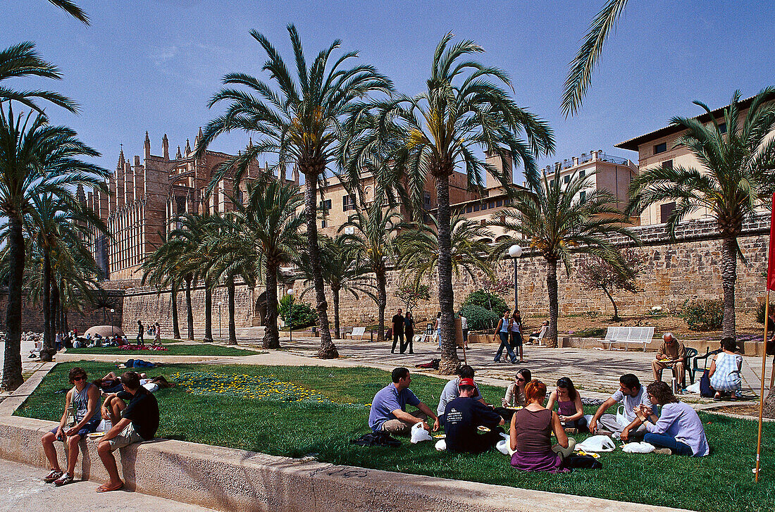Leute genießen ein Picknick in Parc de la Mar, Palma, Mallorca, Spanien