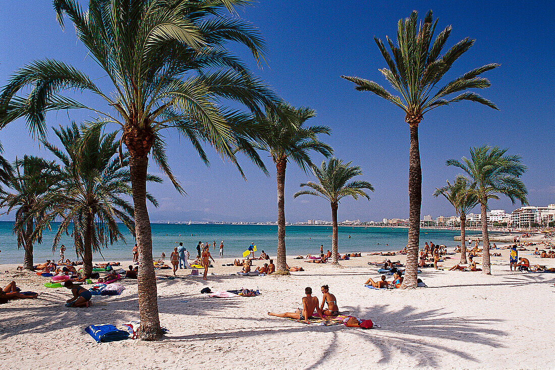 Palmenstrand, Beachlife, Patja de Palma, Arenal, Mallorca, Spanien