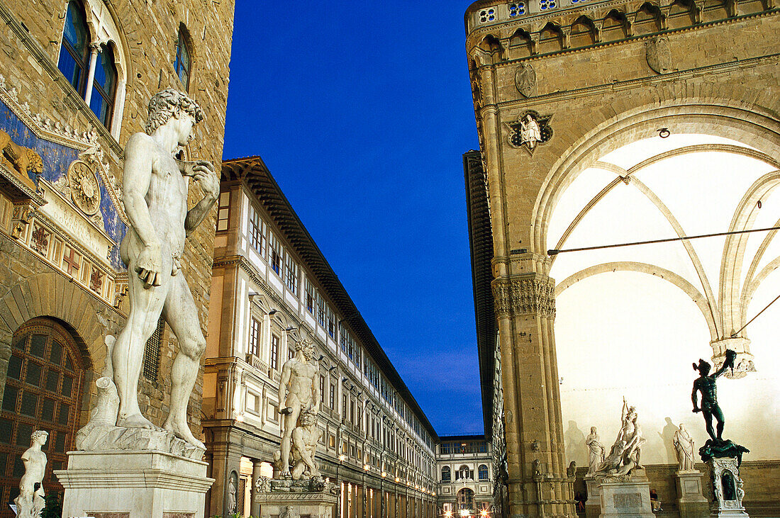 David, Piazza della Signoria, Florence, Tuscany, Italy