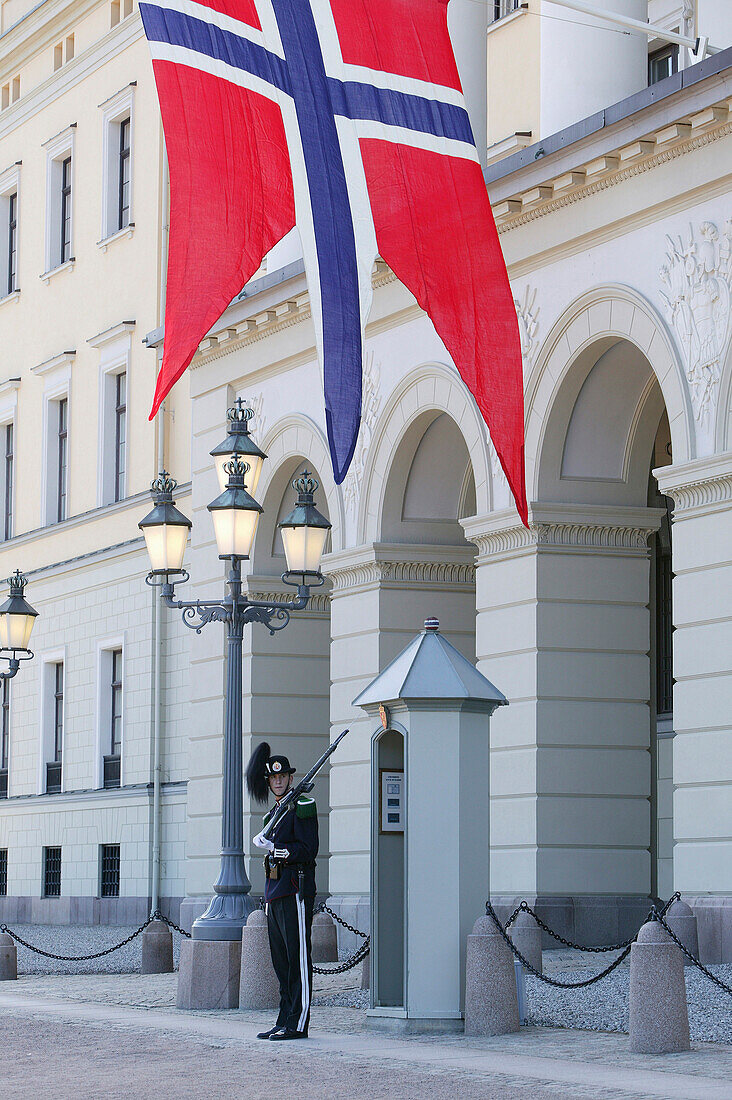 Wache, Garde, Wachsoldat vor dem Königlichen Schloss, Oslo, Noru, Norway