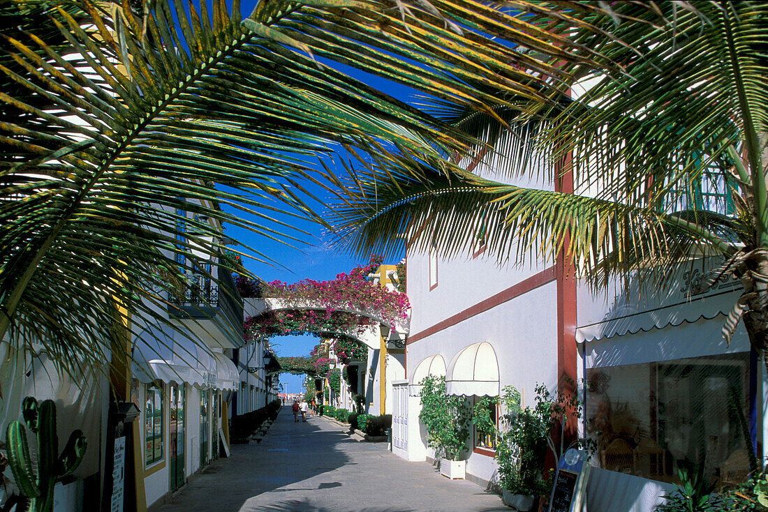 Alley with flowers and palm trees, Puerto de Mogan, Gran Canaria, Canary Islands, Spanien