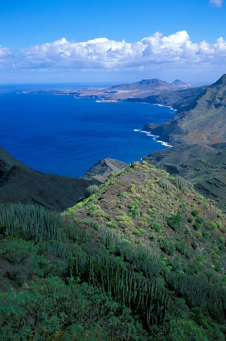 Felsenküste mit Bucht, Anden Verde, Gran Canaria, Kanaren, Spanien