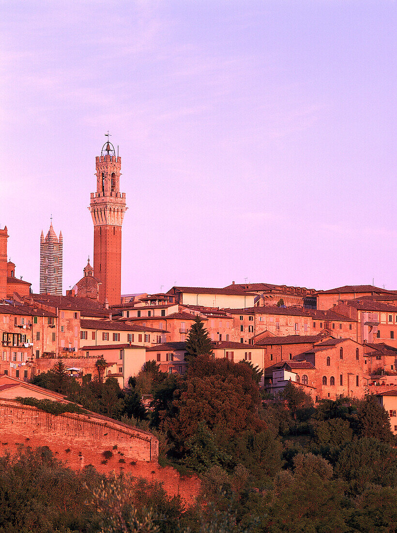 Blick auf Siena, Siena, Toskana, Italien