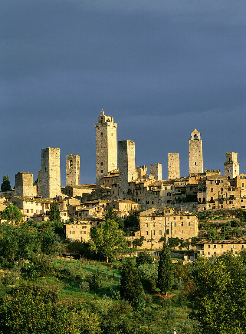 Cityscape with towers, San Gimignano, Tuscany, Italy