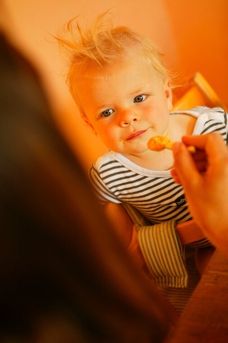 Toddler beeing fed, with babymeal sitting at table in baby' s high chair