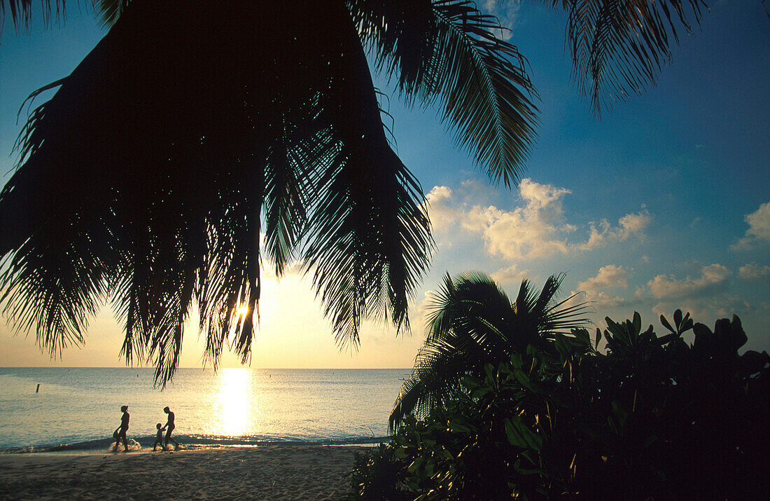 Sonnenuntergang, 7-Mile Beach, Grand Cayman Cayman Islands, Karibik