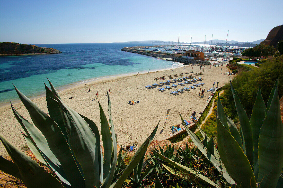 Puerto Portals beach, West Coast, Mallorca, Balearic Islands, Spain