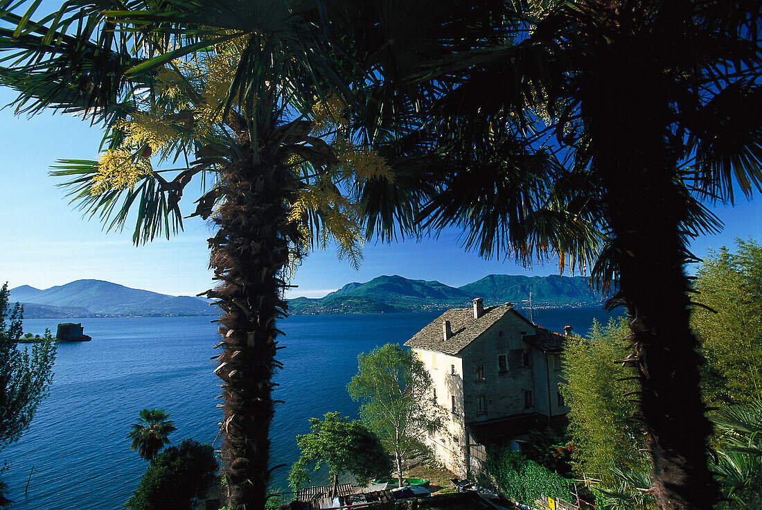 Blick über Lago Maggiore, in der Nähe von Cannobio, Lago Maggiore, Piemont, Italien