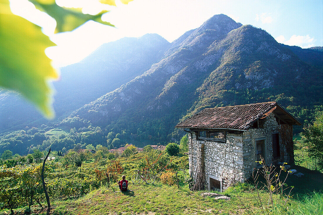 Fahrradfahrer macht Pause in den Weinbergen, Trentino, Italien