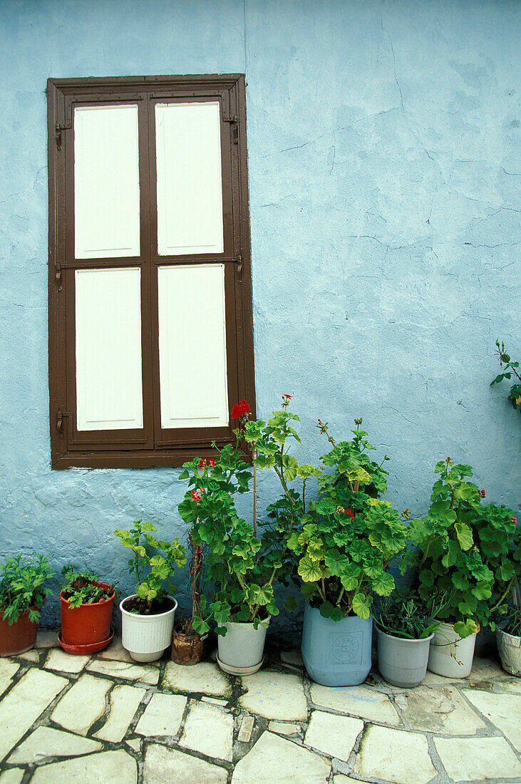 House facade with plants, Kato Lefkara, Cyprus