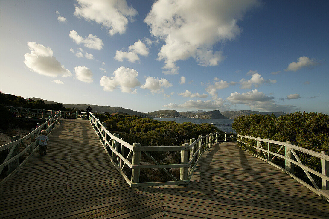 Child on boardwalk, Boulder Beach near Simons Town, Western Cape, South Africa