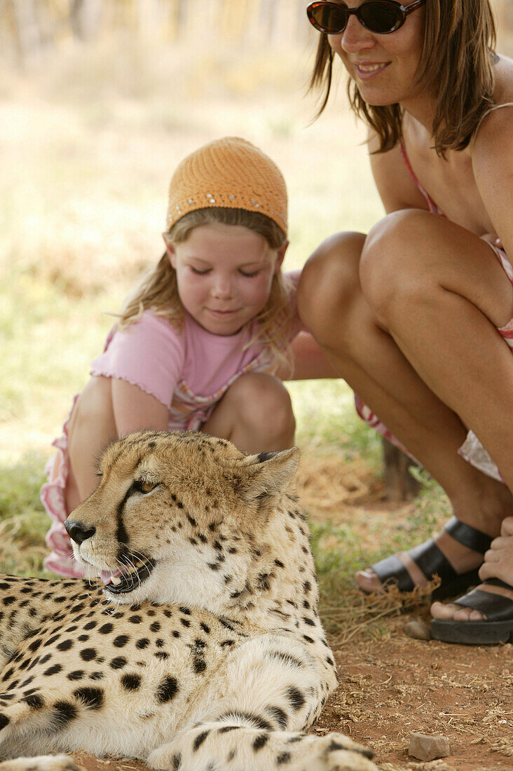 Mädchen streichelt Gepard, Uitenhage, Eastern Cape, Südafrika