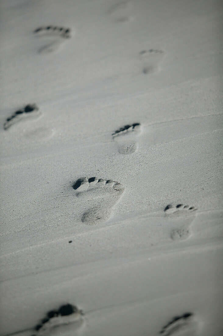 Spuren im sand, Fußabdrücke eines Kindes und eines Erwachsenen im Sand