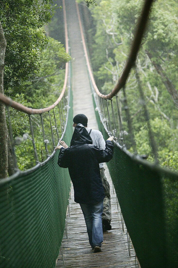 Wanderer auf Hängebrücke im Monkey Park bei Plettenberg, Garden Route, Westkap, Südafrika