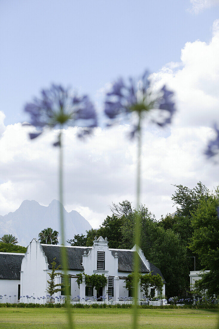 Rectory , Stellenbosch, Wine Region, West Cape, South Africa