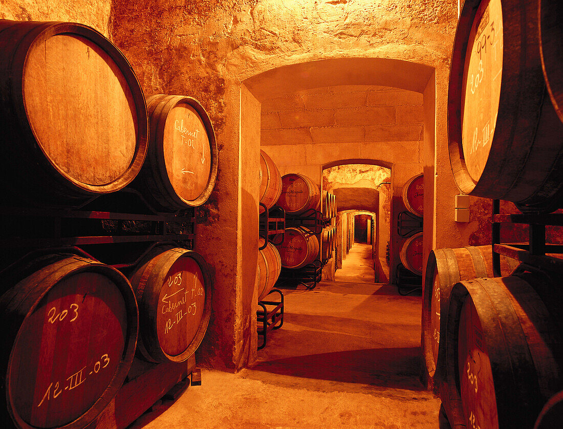 Bodega Jaume Mequida, Wine Cellar with wine barrels, Binissalem, Majorca, Spain
