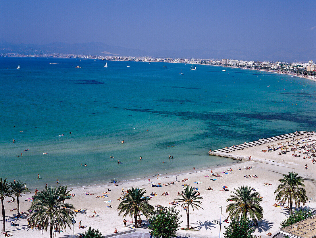 View of the beach, palm beach, Platja de S' Arenal, Bahia de Palma, Majorca, Spain