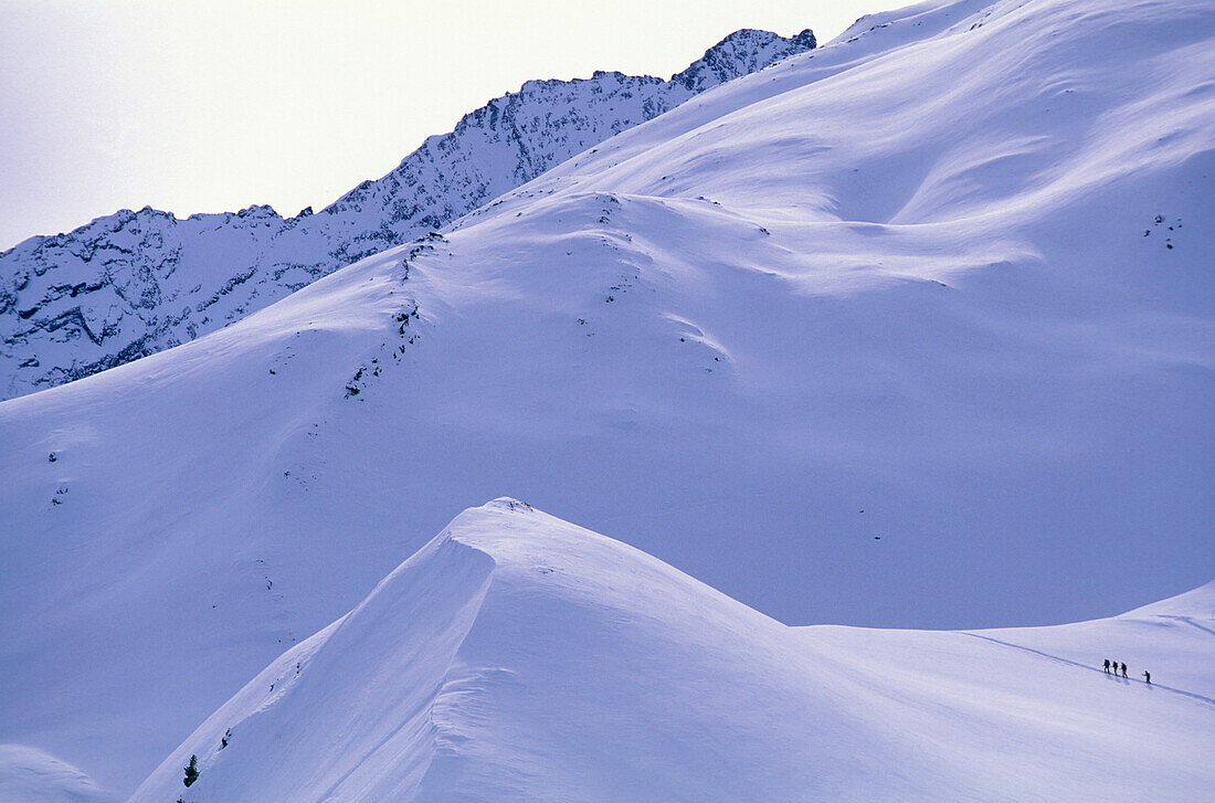 Group snowshoeing, mount Schellenberg, Stubai Alps, Tyrol, Austria