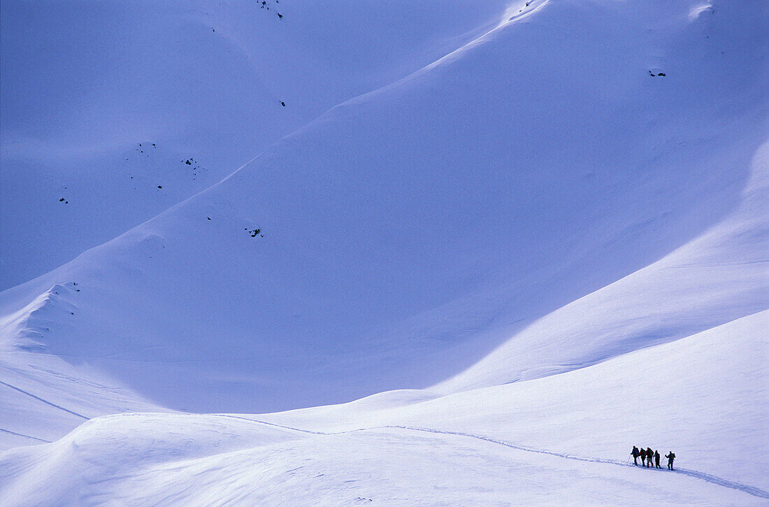 Fünf Leute beim Snowshoeing, Schneeschuhwanderung, Schellenberg, Stubaier Alpen, Österreich