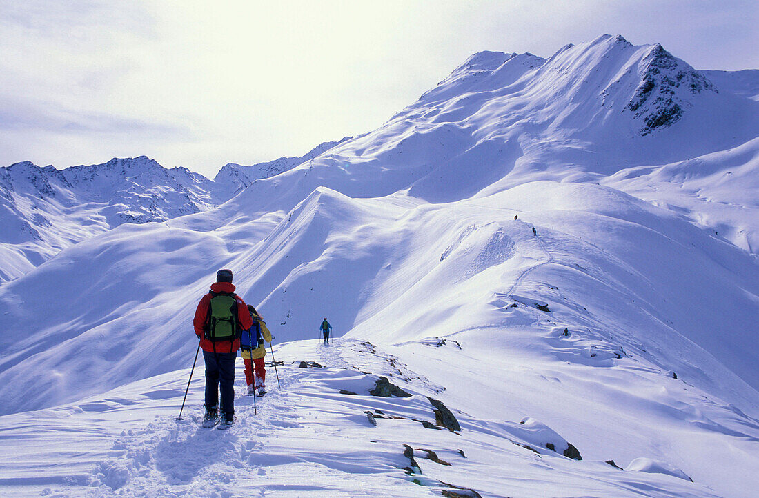 Group walking up slope, wearing snow shoes, Schellenberg, Stubai Alps, Austria
