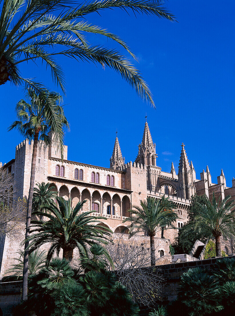 Almudaina Palace, Palma Cathedral, La Seu cathedral, Palma de Majorca, Majorca, Spain