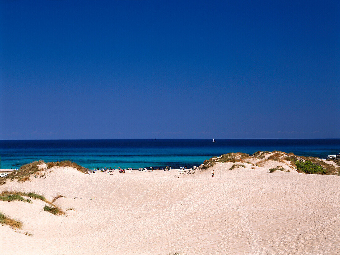 Sand dunes and sandy beach, Cala Mesquida, Majorca, Spain