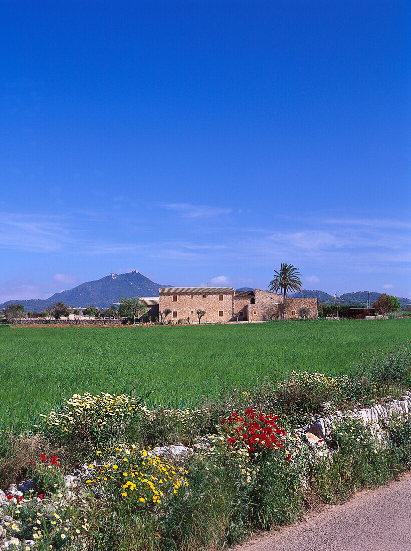 Country house near Felanitx, Majorca, Spain