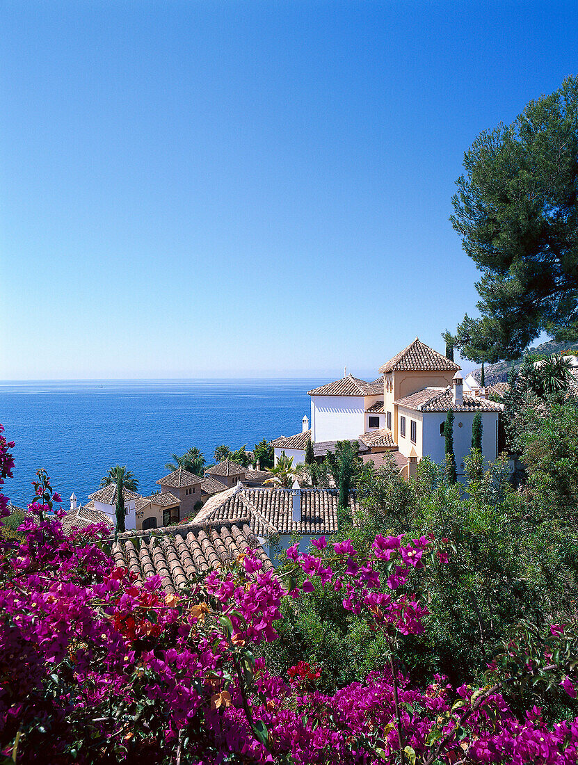 Summer residences with seaview in the sunlight, La Herradura, Costa del Sol, Provinz Granada Andalusia, Spain, Europe
