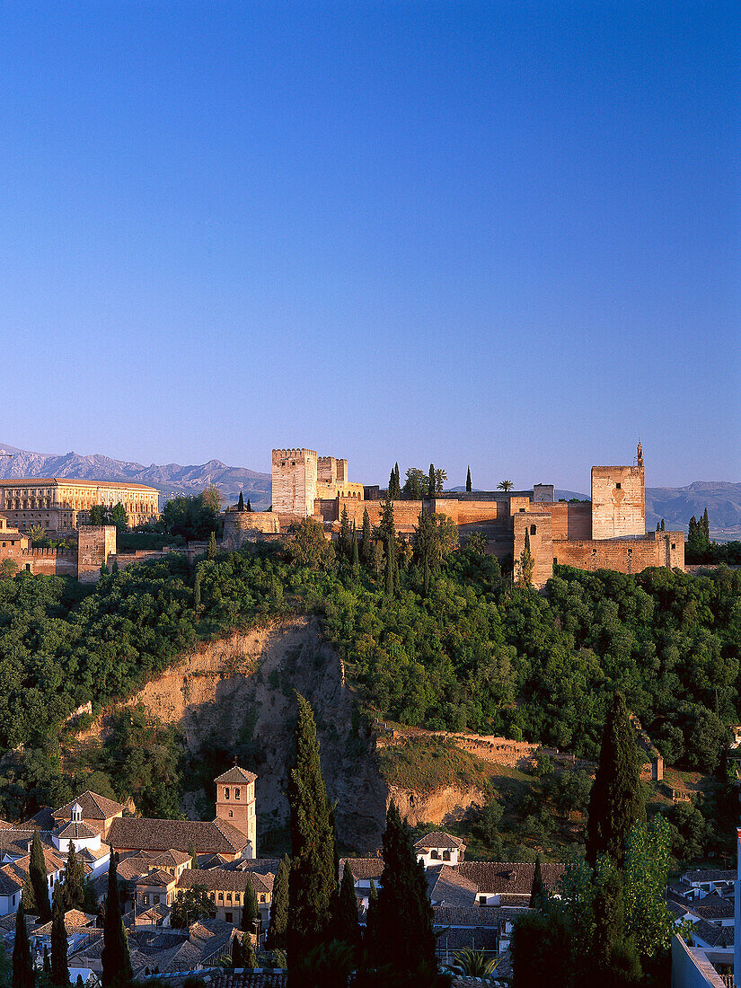 View from Mirador San Nicolas, Albayzin, to the Alhambra, Moorish palace, Granada, Andalusia, Spain