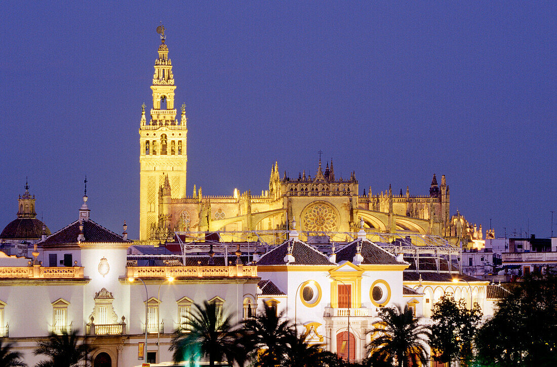 Cathedral with Giralda, Plaza de Toros, bullfighting ring, townscape, Seville, Andalusia, Spain