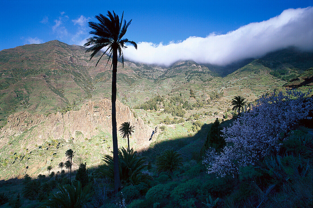 Tal Bechijigua, La Gomera,  Kanarische Inseln, Spanien