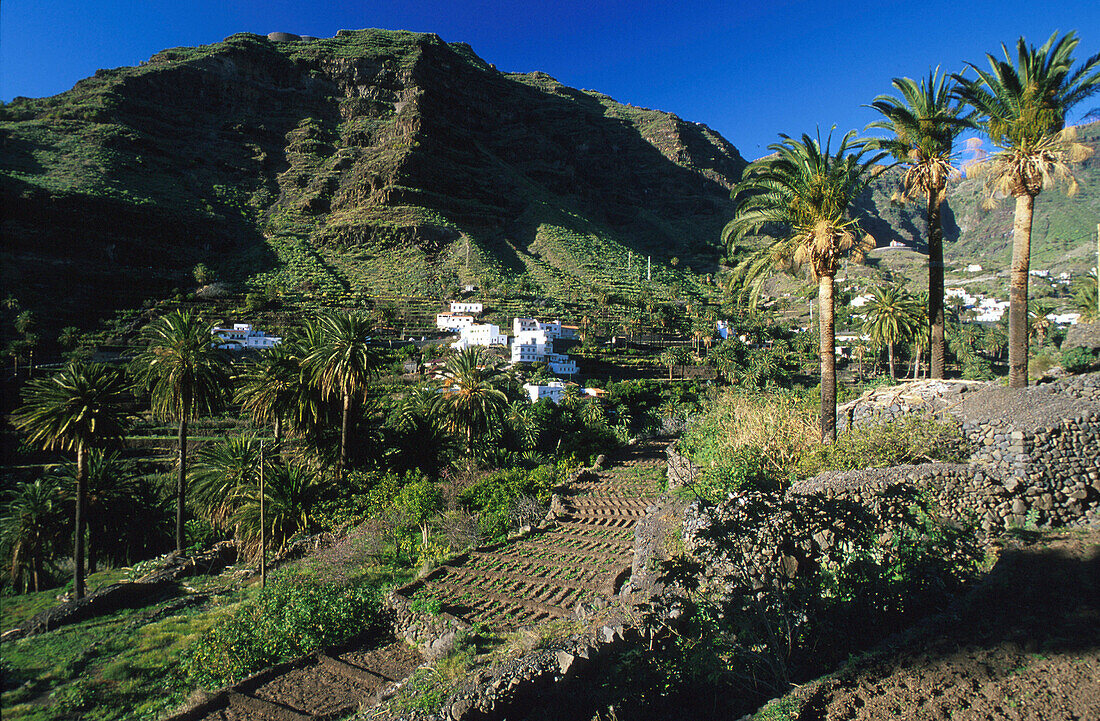 Valle Gran Rey, La Gomera Kanarische Inseln