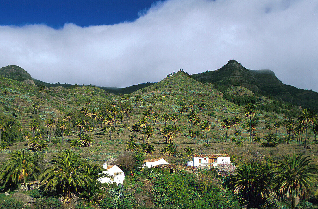 Tal von Bechijigua, La Gomera Kanarische Inseln