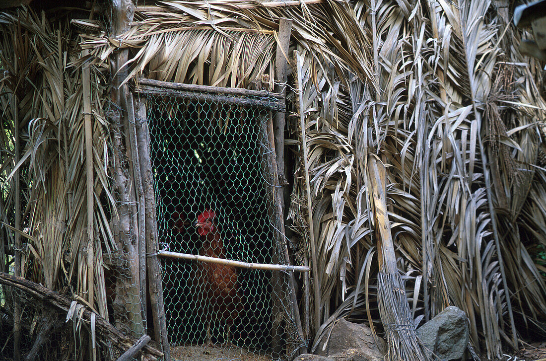 Hühnerstall, Tamargada, La Gomera Kanarische Inseln