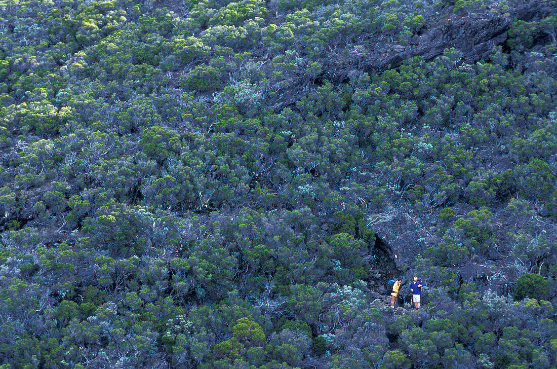Hiker under Caverne Dufour, Ille de la Réunion Indian Ocean