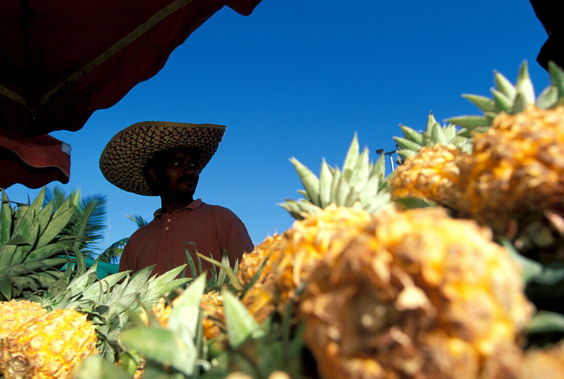 Obsthändler mit Ananas, Markt in St. Paul, La Réunion, Indischer Ozean