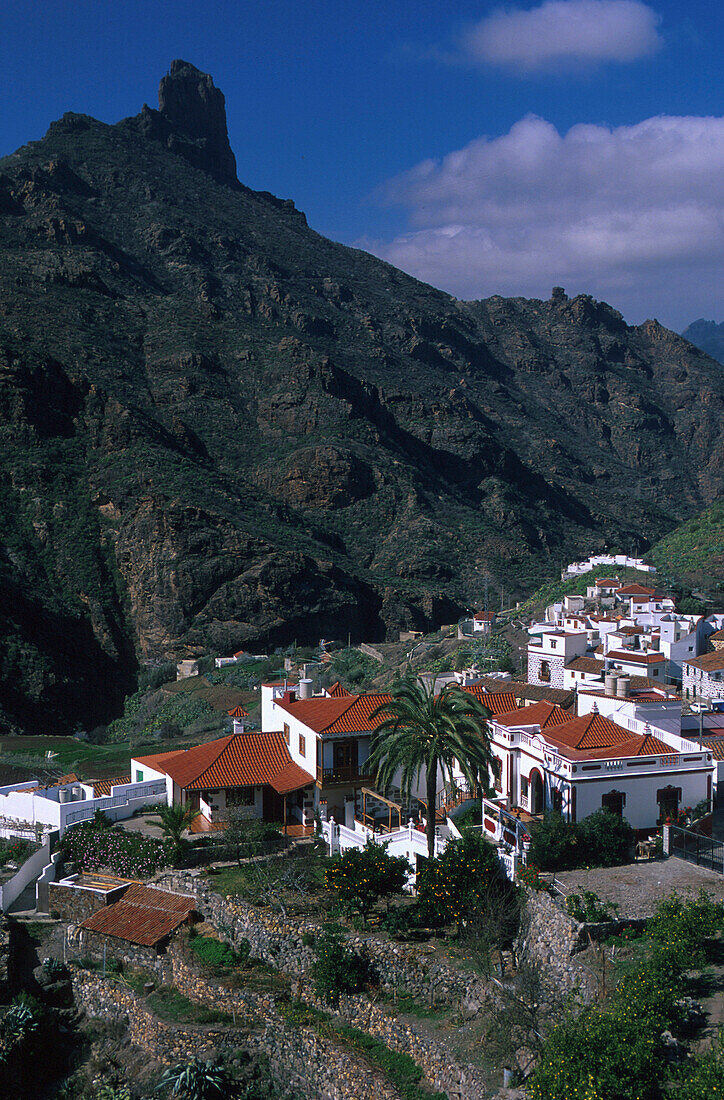 Roque Bentaiga 1404m, , Tejeda, Gran Canaria, Kanarische Inseln, Spanien