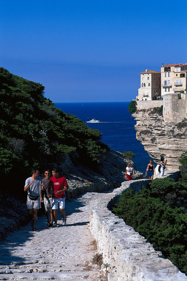 Falaises, cliffs of Bonifacio, Corsica, France