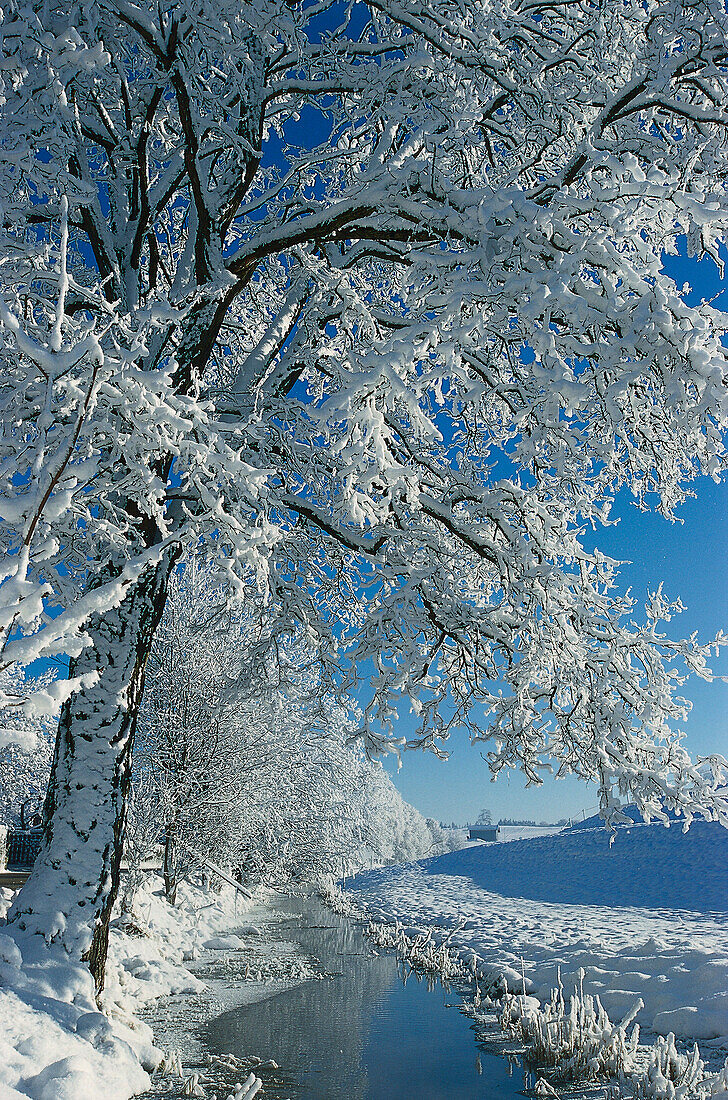Snow covered landscape near Munsing, Bavaria, Germany