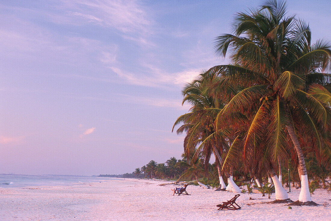 Strand, Karibikküste südl. Tulum, Quintana Roo Halbinsel Yucatán, Mexico