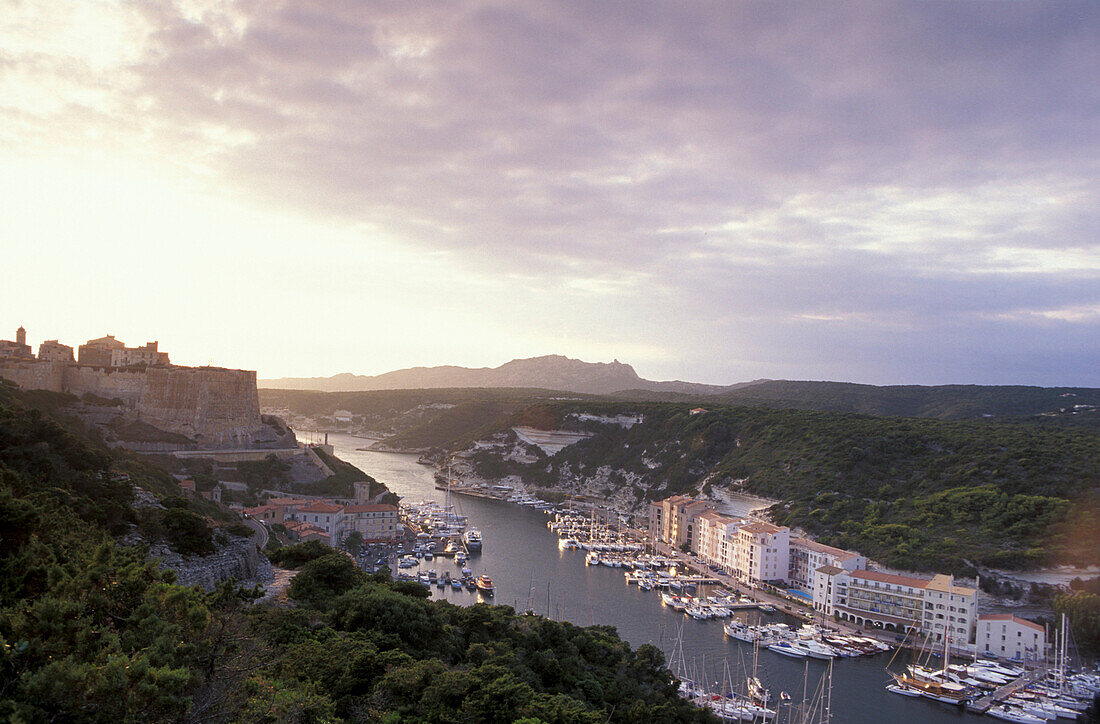 Harbour, citadel, Bonifacio, Corsica, France