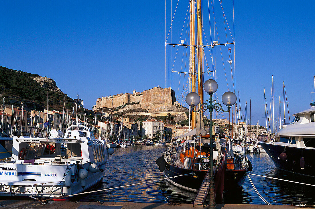 Hafen, Zitadelle, Bonifacio, Korsika, Frankreich