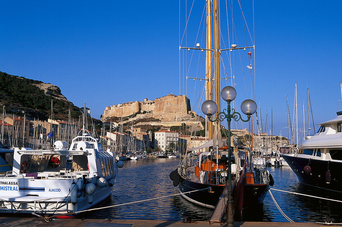 Harbour, citadel, Bonifacio, Corsica, France