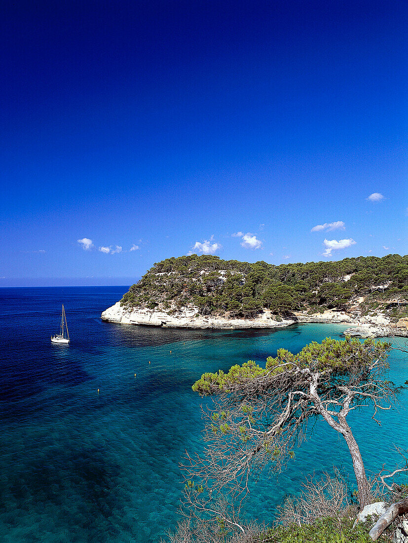 Coastal landscape Cala Mitjana near Cala Galdana, Minorca, Spain