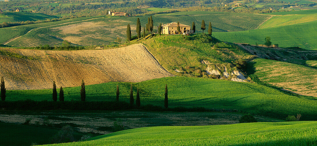 Country house with cypresses near San Quirico d'Orcia, Tuscany, Italy