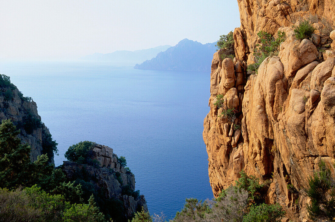 Felsen und Küste, Les Calanche, Westküste von Korsika, in der Nähe von Porto, Frankreich